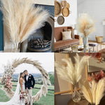 décoration mariage boho herbe pampas artificielle 100cm plumes séchées naturel rustique intérieur anniversaire
