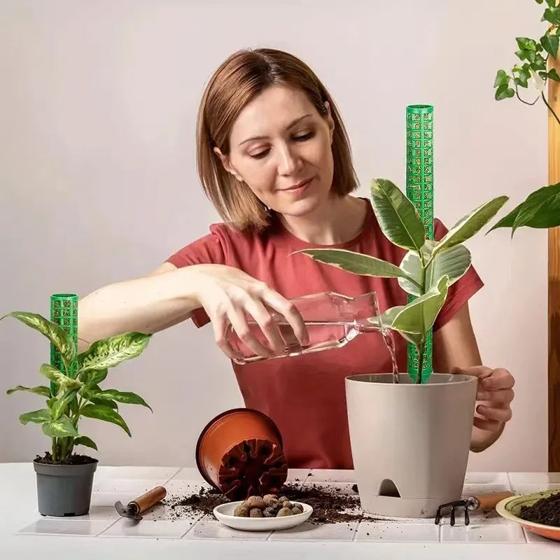 supports plantes pliants adhésifs cordelettes piquets blancs verts modernes intérieur