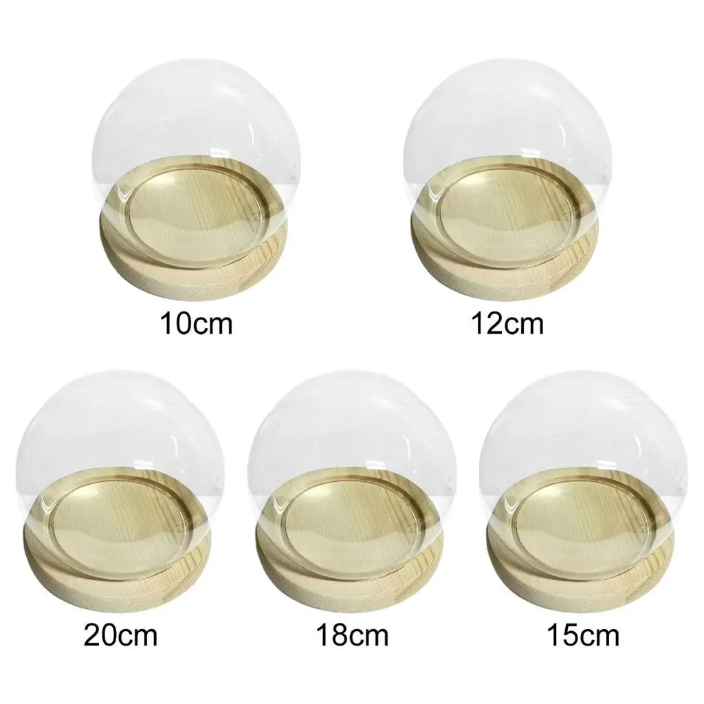 boule verre transparente base bois moderne décoration table terrarium cloche jarretière cloche d'affichage