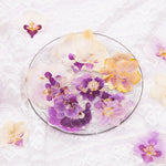 fleurs séchées phalaenopsis violettes blanches jaunes naturelles décoration artisanale intérieur