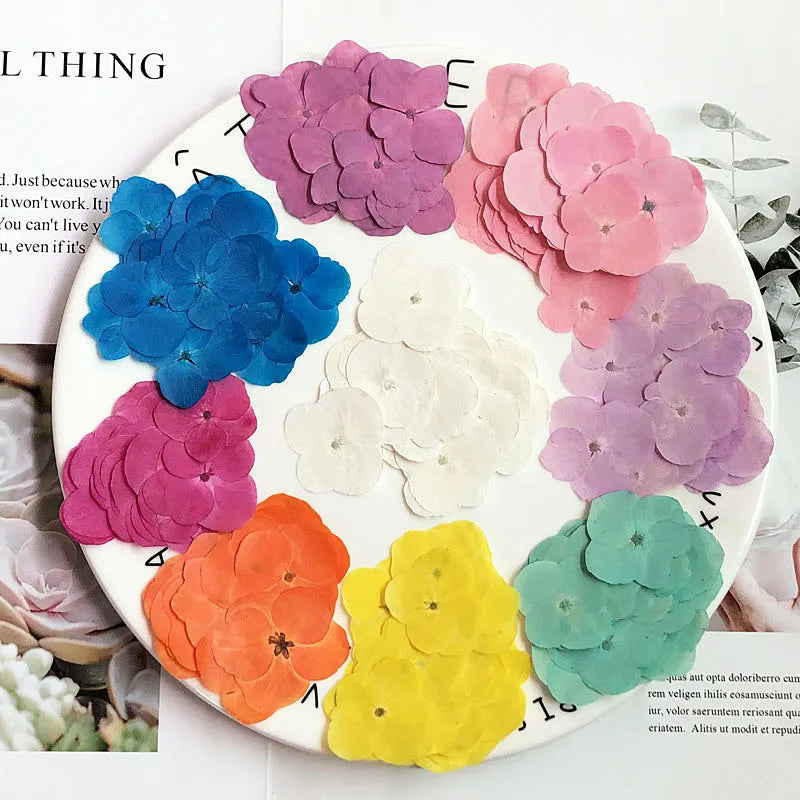 fleurs séchées hybrides orange rose violet bleu décoration maison intérieure DIY craft deco festive
