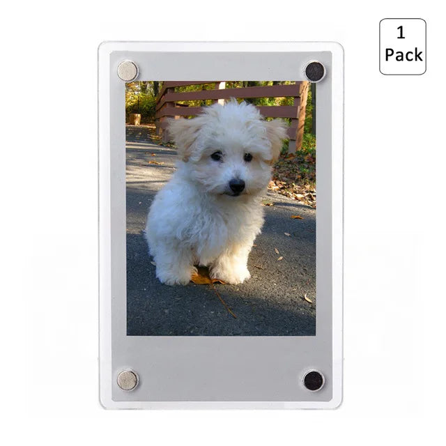 cadre photo magnétique transparent animaux moderne pack instax film instantané