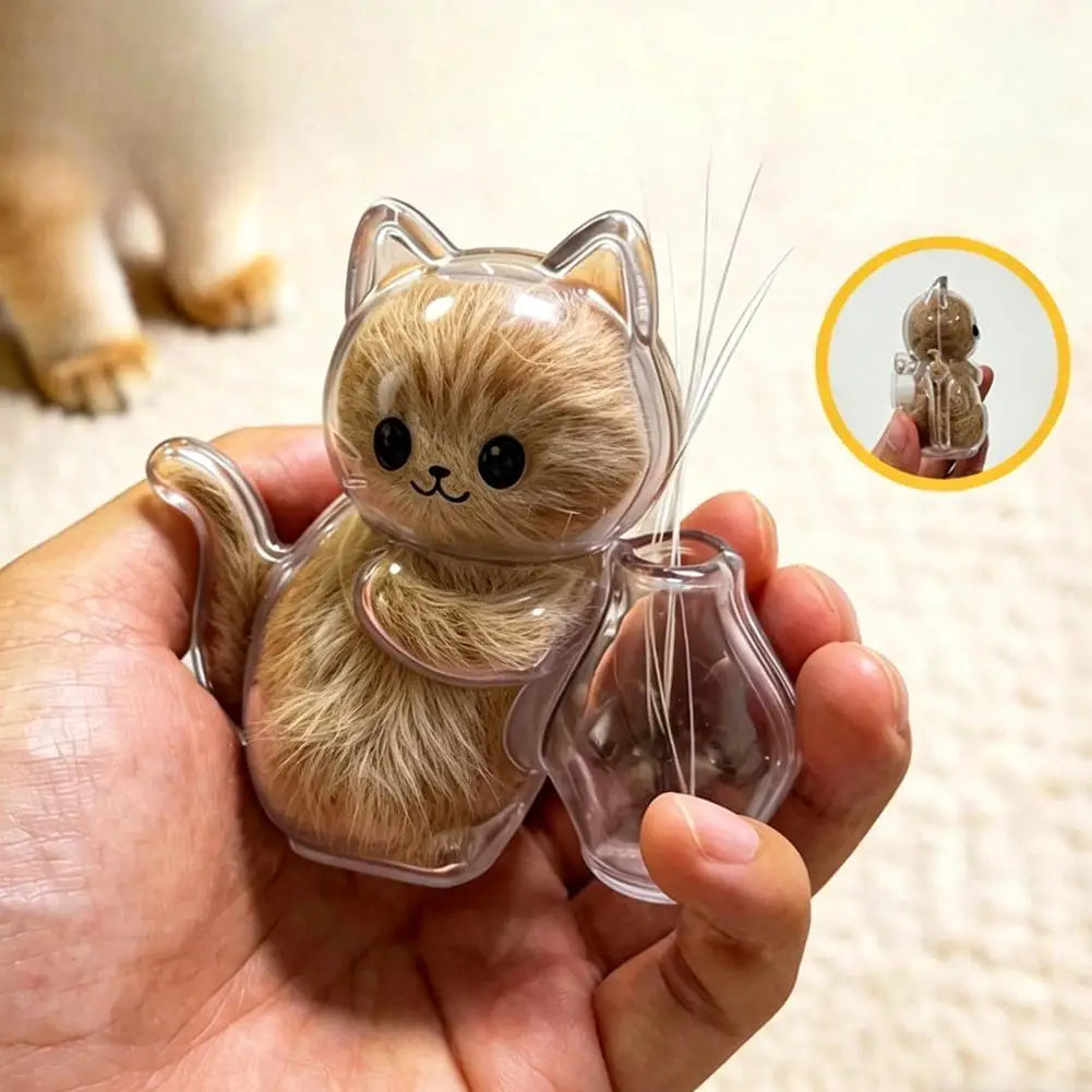 boîtes rangement aimantées transparentes forme chat kawaii poils masse opaque vase decoratif mignon