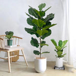 plantes artificielles feuilles vertes modernes decoration maison extérieur 59 pouces six pieces