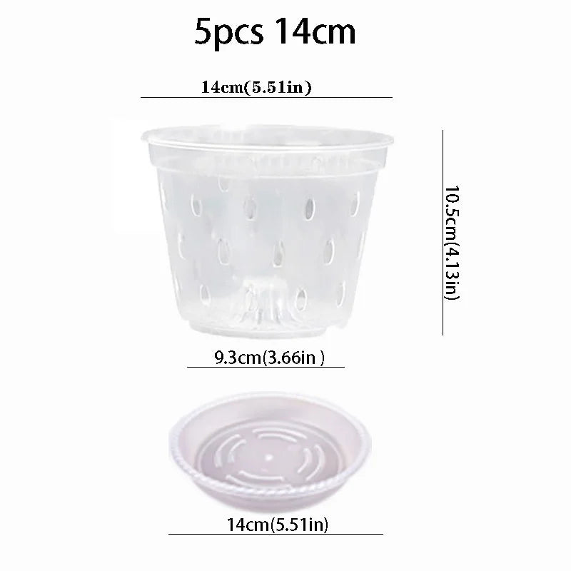 pots plantes transparents perforés modernes plateaux 11 12.5 14 15 17cm orchidées
