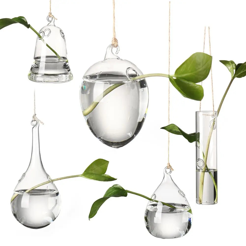 vases suspendus verre transparent modernes minimalistes cordelière plantes vertesextérieurintérieur