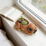 pot fleurs succulentes forme chien mignon décoration maison jardin animalier réaliste pastoralement