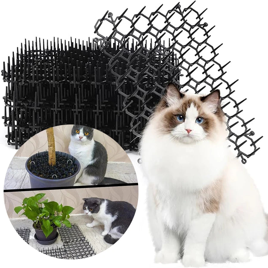 repousse chat plastique noir forme hexagonale fixations protection meubles plantesextérieur intérieur toutes saisons