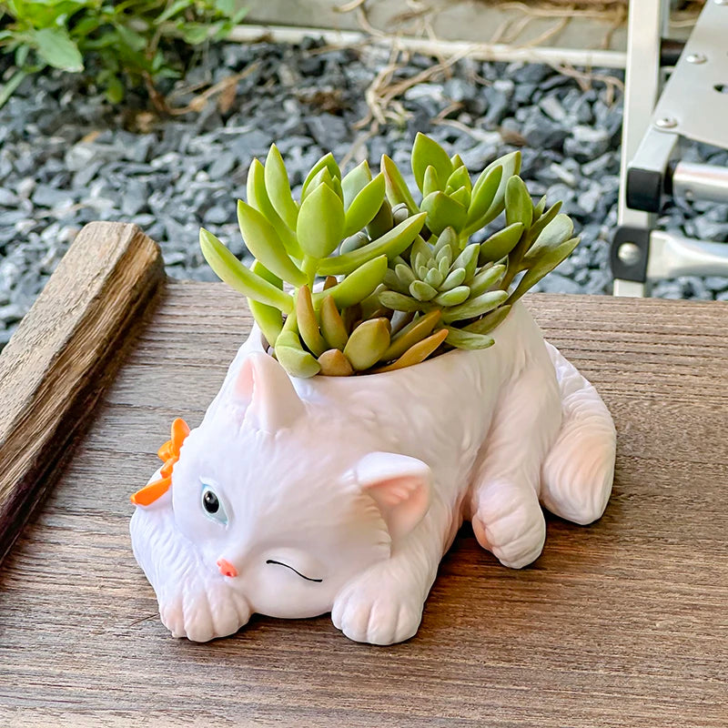 chat mignon pot succulentes plante verte deco maison balcon salon dessin animé