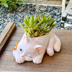 chat mignon pot succulentes plante verte deco maison balcon salon dessin animé