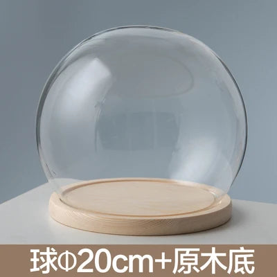 boule verre transparent socle bois décoration d'intérieur moderne objet d'exposition moderne