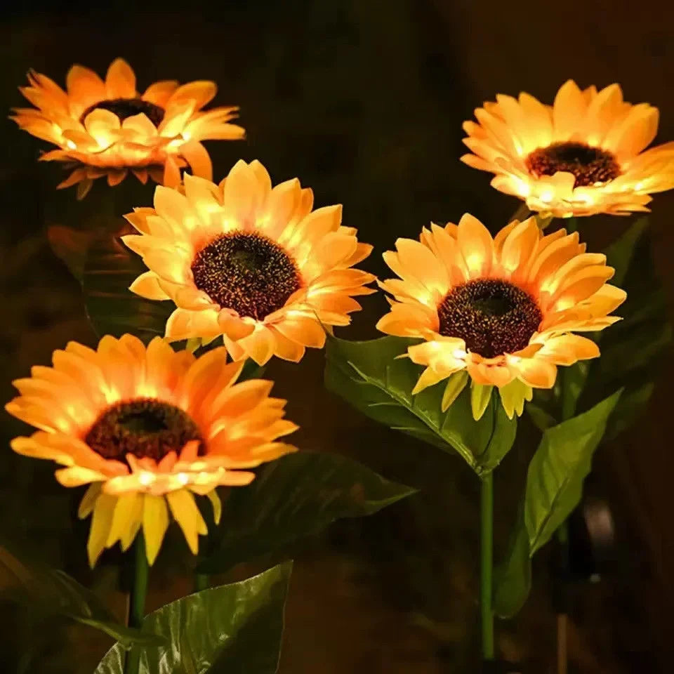 lumière solaire bouquet papillons colorés feuilles vertes moderne violet orange jaune