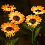 lumière solaire bouquet papillons colorés feuilles vertes moderne violet orange jaune