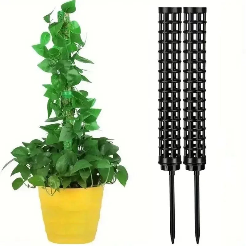 supports plantes pliants adhésifs cordelettes piquets blancs verts modernes intérieur