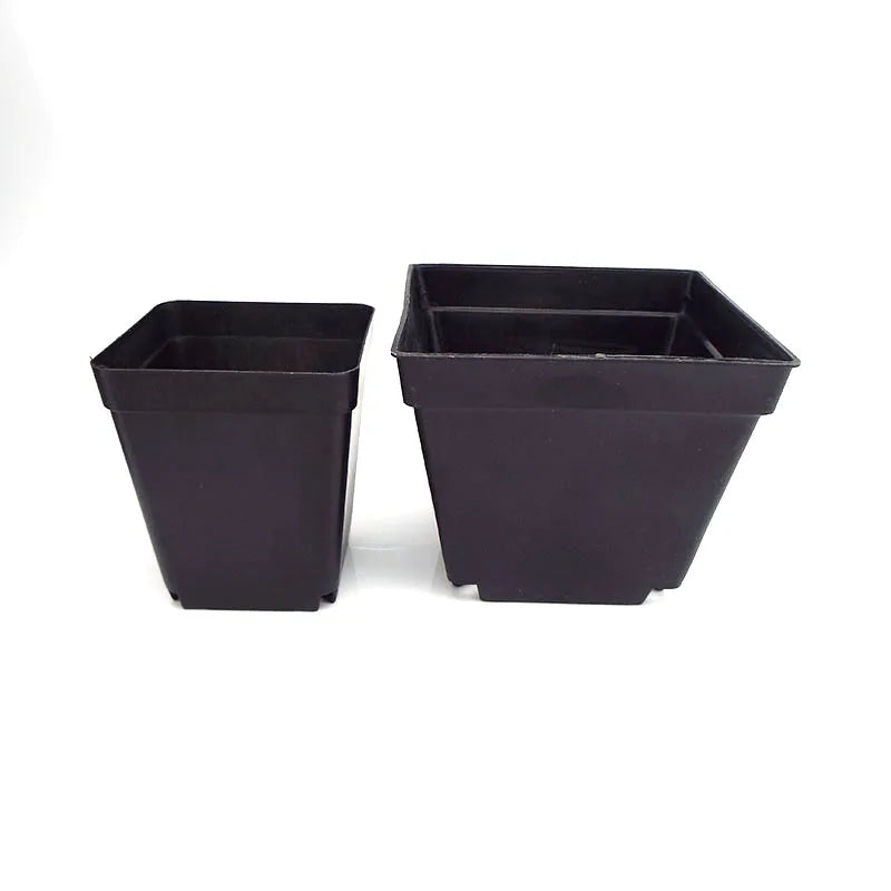 Pots fleurs plastique noir blanc violet bleu modernes 7cm 8cm 10cm jardin