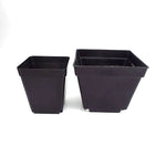 Pots fleurs plastique noir blanc violet bleu modernes 7cm 8cm 10cm jardin