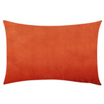 housse coussin velours uni 30x50 cm décoration salon canapé chambre moderne couleur violette