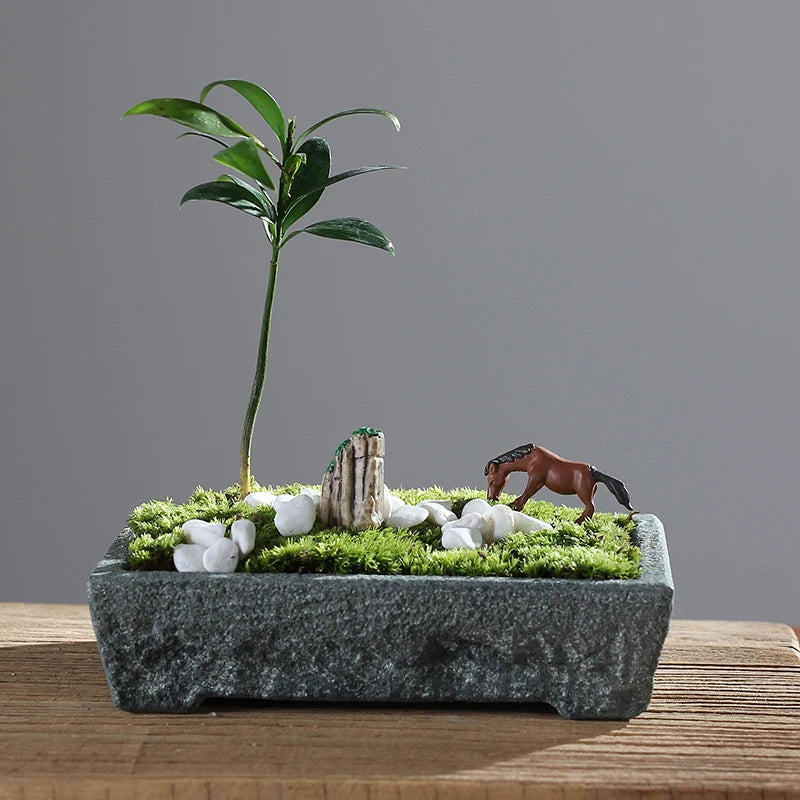 bac plantes moderne minimaliste pierre naturelle plante artificielle statue miniature jardin intérieur décoration zen