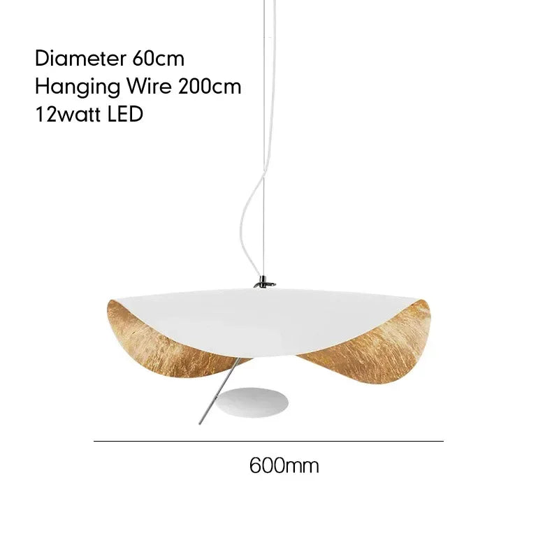 Suspension lumineuse moderne noir doré texture métallique câble suspendu 40cm 60cm 80cm lumière froide