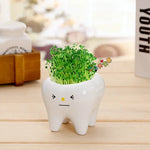 pots céramique porcelaine forme dents plante verte expression faciale decoration mignonne originale