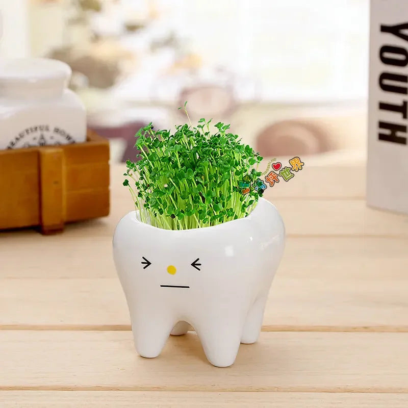 pots céramique porcelaine forme dents plante verte expression faciale decoration mignonne originale