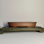 pots fleurs brun rustique texture rugueuse bonsaï traditionnel classique profondsadultes