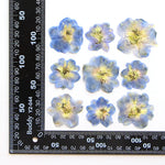 fleurs séchées bleu blanc jaune naturelles petals décor intérieur anniversaire cadeau art artisanal