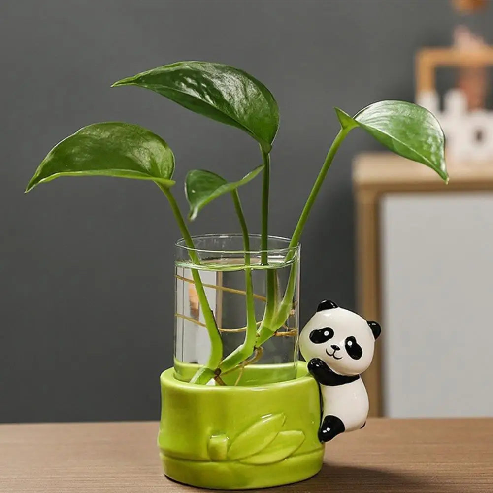 cache pot verre transparent base céramique panda lapin feuilles moderne intérieur blanc noir vert