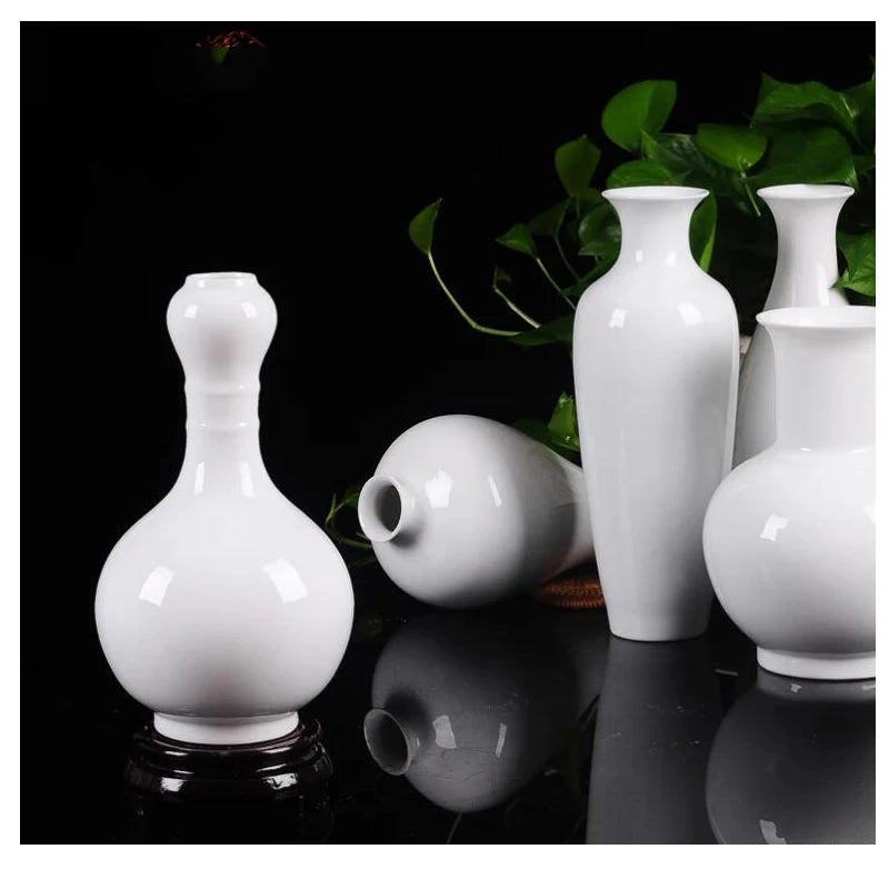 Une collection élégante de vases blanc mat sur fond noir, avec des plantes vertes en arrière-plan.