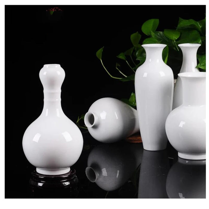 Une collection élégante de vases blanc mat sur fond noir, avec des plantes vertes en arrière-plan.