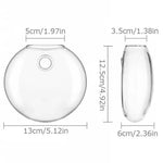 vases murals verre transparent modernes minimaux plante graine sable