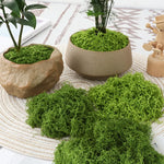 mousse décorative verte polyester décoration intérieure terrariums pots plantes diy bonsaï filamenteuse duveteuse