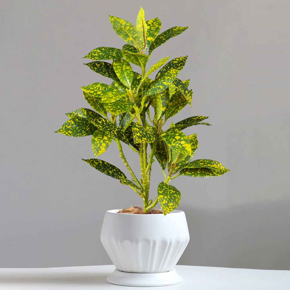 arbre artificiel feuilles dorées magnolias decoration extérieur intérieur pot mousse verte tropical