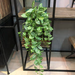 décoration murale plante artificielle vigne verte moderne feuilles tiges extérieur accrochée naturelle festive exposition