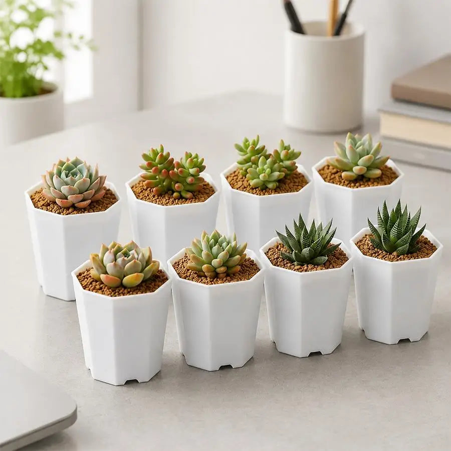 pots plante blancs hexagonaux modernes succulentes décoration table 6pcs 12pcs 24pcs