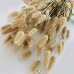 bouquet fleurs séchées herbe rabbit tail décoration maison mariage anniversaire boho naturelle rustique