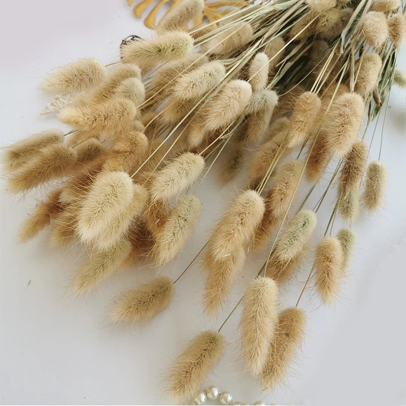 bouquet fleurs séchées herbe rabbit tail décoration maison mariage anniversaire boho naturelle rustique