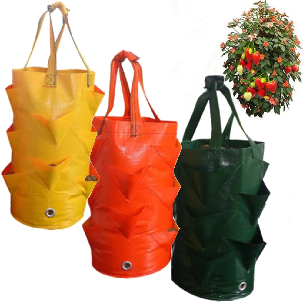 sac provisions pliable vert jaune orange plissé moderne opaques étagères culture plantes fruits légumesétales