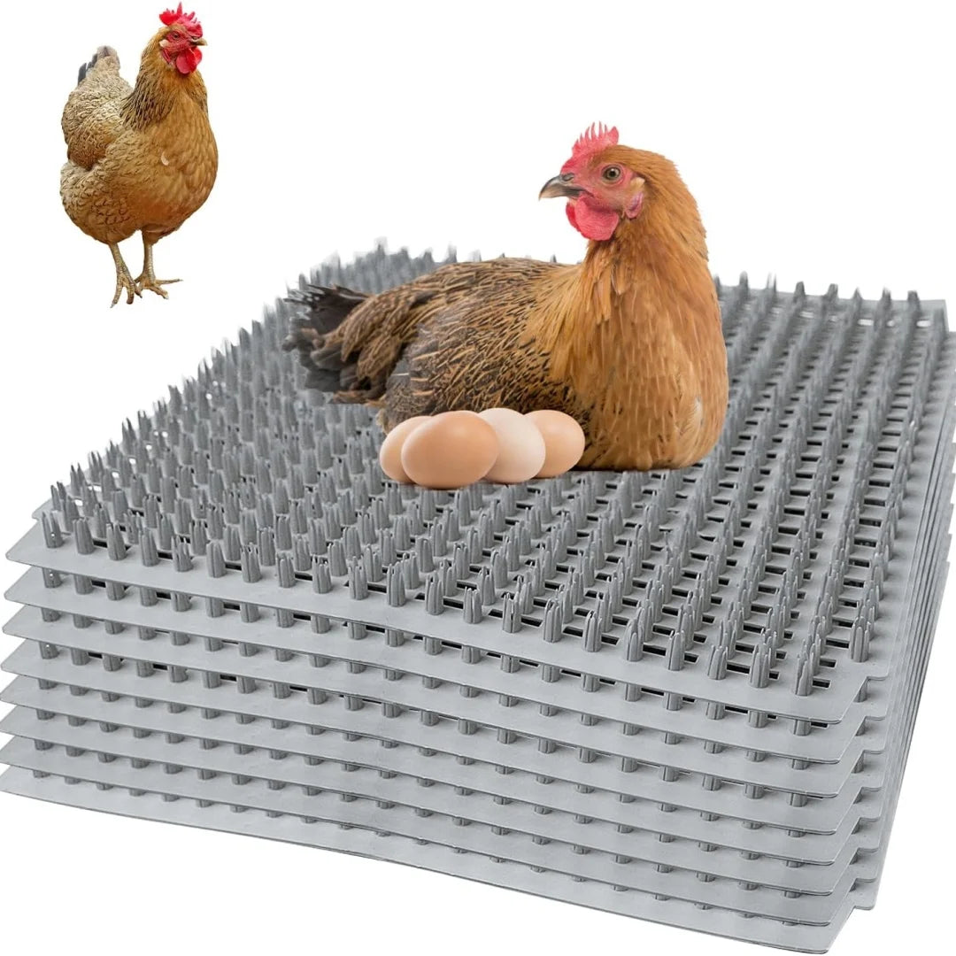 tapis nidification poules coussin oeufs mat plastique vert jaune gris noir