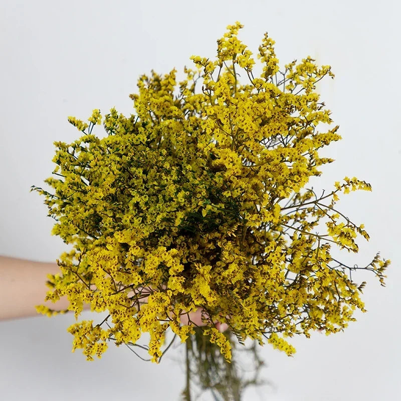bouquet fleurs séchées violet rose vert jaune blanc modernes vase blancintérieur décoration bohème nordique