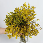 bouquet fleurs séchées violet rose vert jaune blanc modernes vase blancintérieur décoration bohème nordique