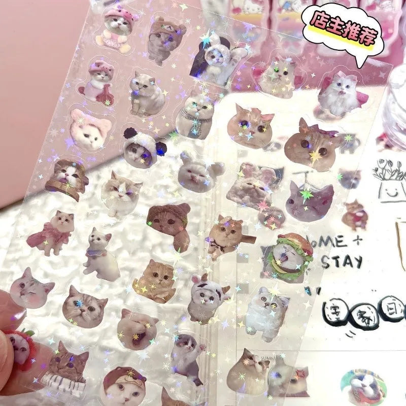 sticker chatons mignons multicolores adhésifs transparents motifs brillants cartoon 9x12cm