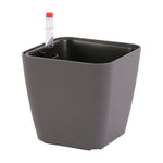 pots plante auto arrosage hydroponique blanc violet noir gris moderne