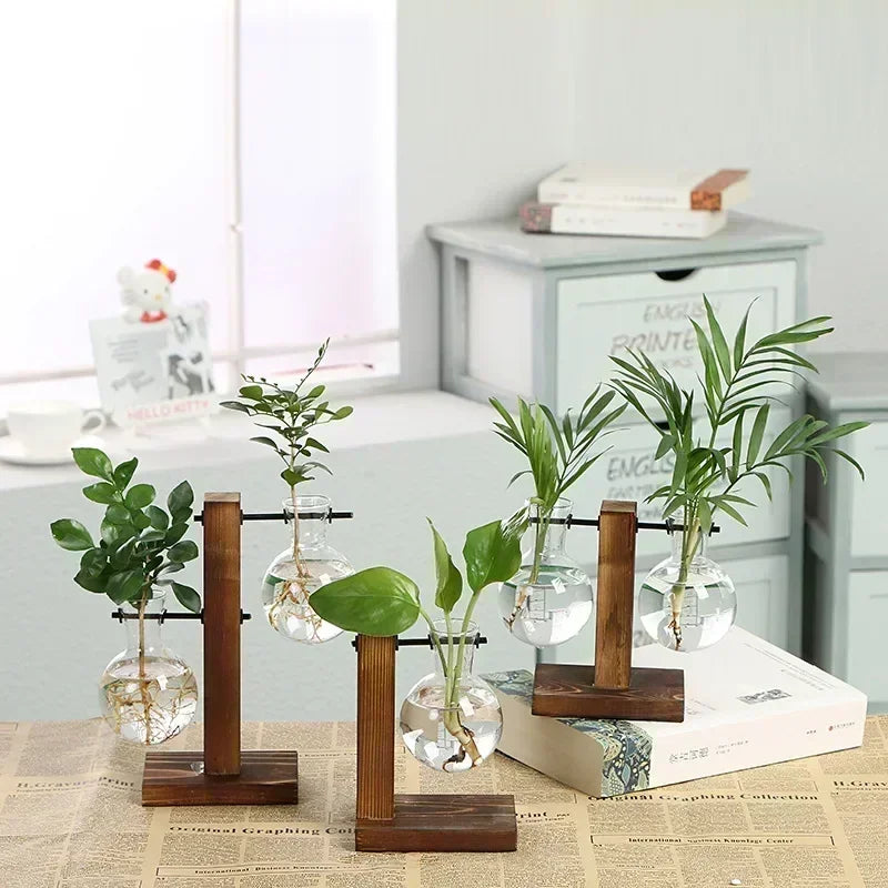 Vue de détail du terrarium montrant le design rétro et les matériaux naturels
