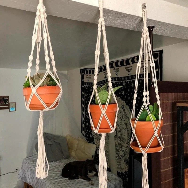 Supports pour plantes suspendues, trois modèles avec des pots de fleurs en terre cuite. Idéal pour décorer un intérieur, ces suspensions apportent une touche bohème et naturelle à votre espace. Parfaits pour installer des plantes comme des succulentes, ces supports rehaussent l'ambiance de votre maison tout en optimisant l'espace.