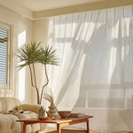 Découvrez un salon moderne et chaleureux avec des rideaux transparents qui filtrent la lumière naturelle. Une décoration minimaliste avec une plante verte en pot et une table basse en bois, créant une ambiance apaisante et lumineuse. Le canapé confortable ajoute au charme de cet espace de vie harmonieux et accueillant.