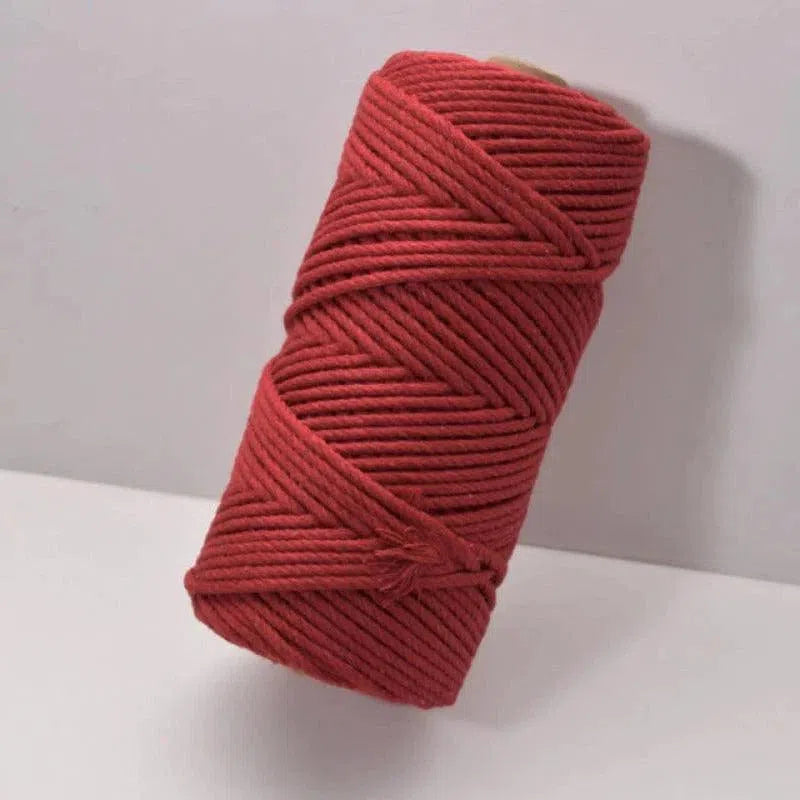 Bobine de fil rouge pour projets créatifs, parfaite pour le macramé, le tricot ou le crochet, offrant une touche de couleur vibrante à vos créations artisanales. Essentielle pour les amateurs d'artisanat, elle permet de réaliser des décorations et accessoires uniques.