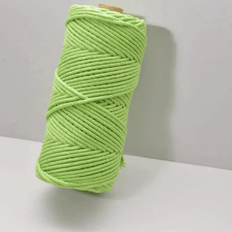 Bobine de fil vert clair pour loisirs créatifs et projets de macramé, idéale pour ajouter une touche colorée à vos créations artisanales. Longueur adaptée pour fabriquer divers objets décoratifs faits main. Parfait pour les amateurs d'artisanat à la recherche de matériaux de qualité.