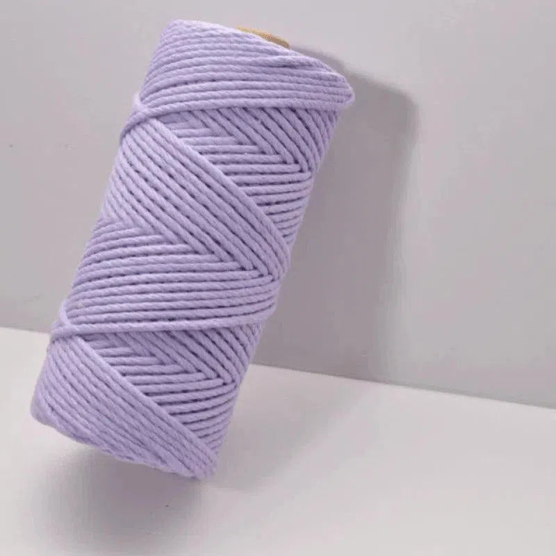 Bobine de fil violet pour macramé ou tricot, idéale pour les projets créatifs. Ce fil de couleur pastel apporte une touche douce et élégante à vos créations artisanales. Usage polyvalent adapté aux décorations, bijoux et autres travaux manuels. Parfait pour les amateurs et les professionnels du DIY (Do It Yourself).