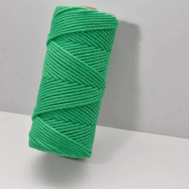 Bobine de fil vert vif, idéal pour le tricot, le crochet et les projets de macramé. Fil durable et facile à manipuler pour des créations artisanales variées. Accessoire indispensable pour les amateurs de loisirs créatifs recherchant de la couleur.